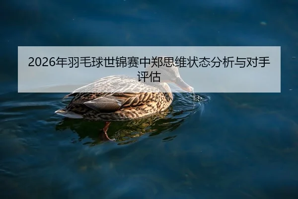 2026年羽毛球世锦赛中郑思维状态分析与对手评估