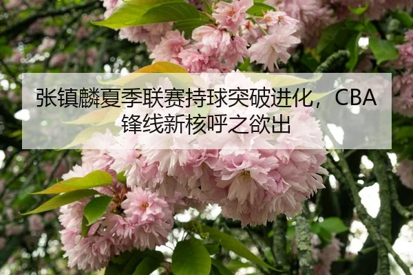 zhang-zhen-lin-xia-ji-lian-sai-chi-qiu-tu-po-jin-hua-feng-xian-xin-he-hu-zhi-yu-chu-3-245.jpg